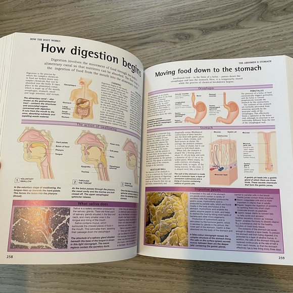 How the Body Works Textbook - Picture 3 of 4